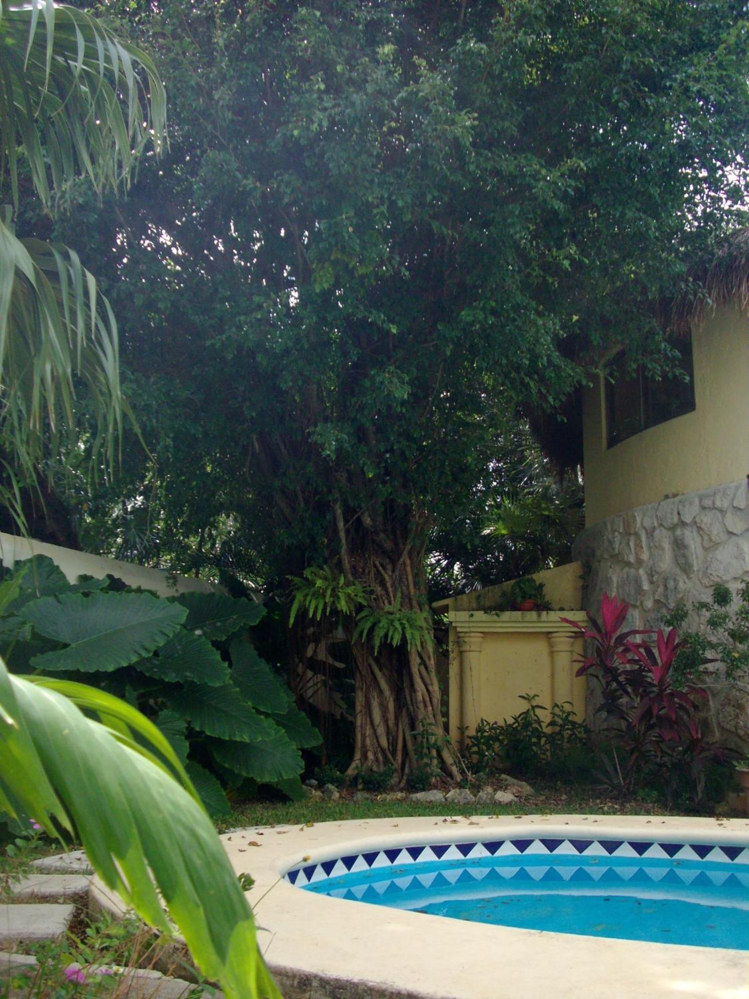 Residencia Los Encantos Cancun Exterior photo